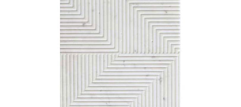 carrara optical