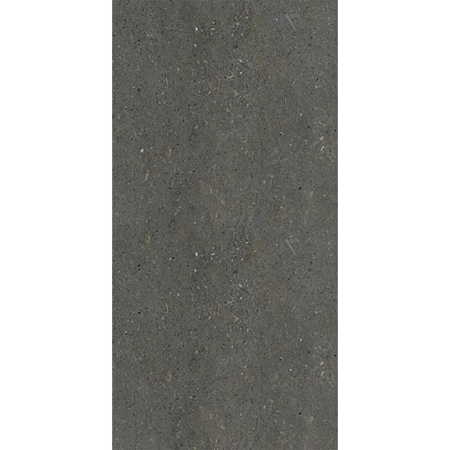 GRIGIO VENEZIA 30x60x1